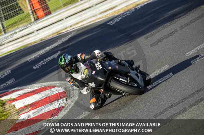 brands hatch photographs;brands no limits trackday;cadwell trackday photographs;enduro digital images;event digital images;eventdigitalimages;no limits trackdays;peter wileman photography;racing digital images;trackday digital images;trackday photos